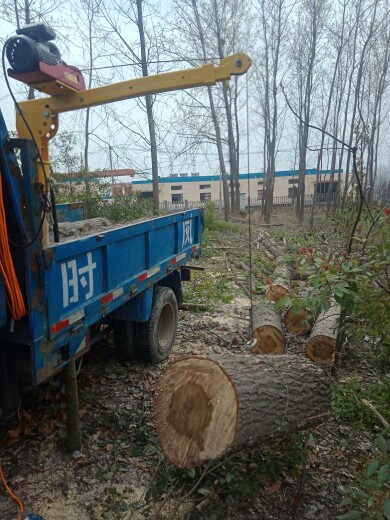 車載吊機使用案例圖